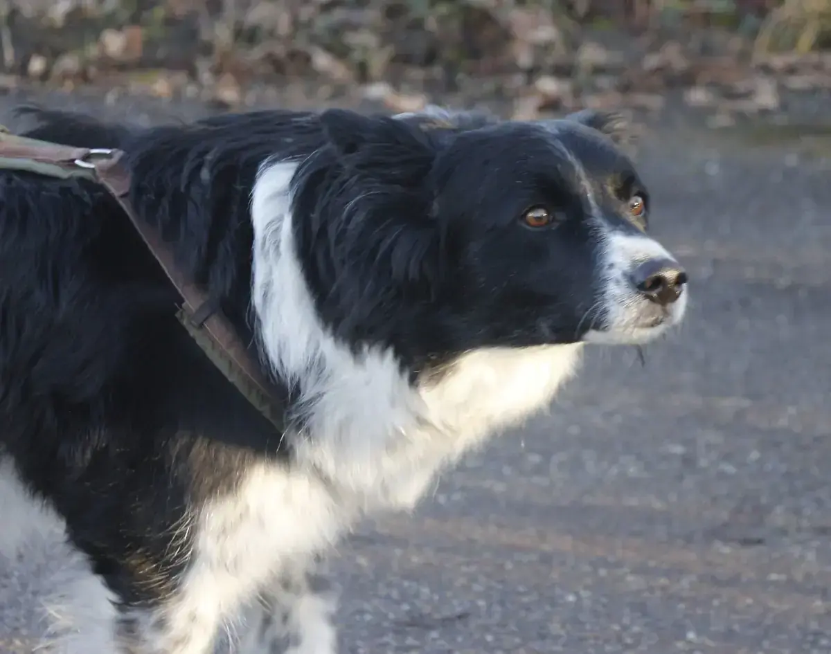 Emmi -  - Bild 3