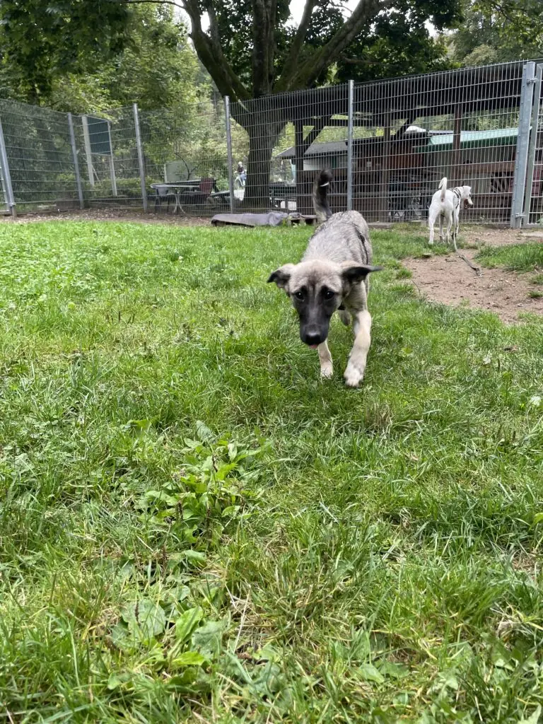 Maggie -  - Bild 5