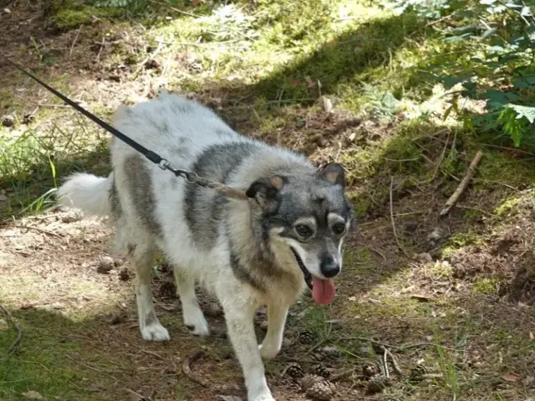Grace -  - Bild 5