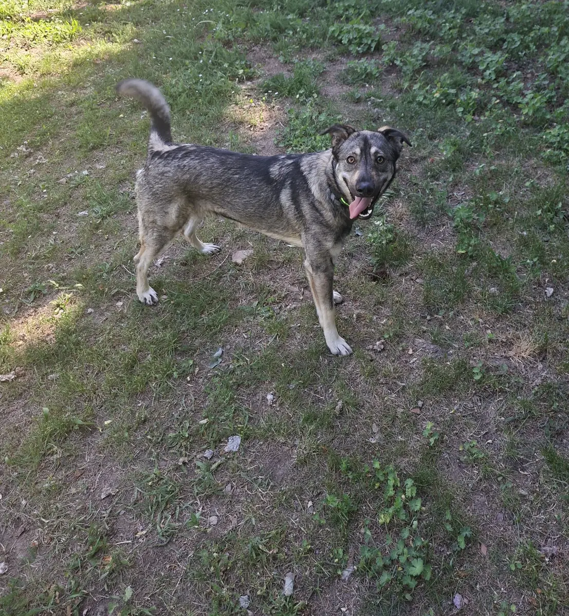 Hannah -  - Bild 3