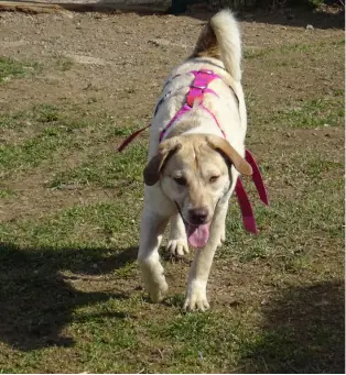 Norbert -  - Bild 1