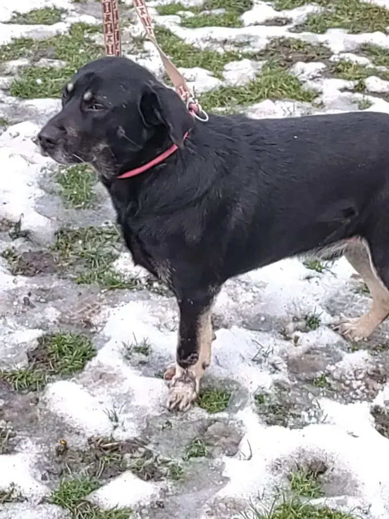 Sammy -  - Bild 3