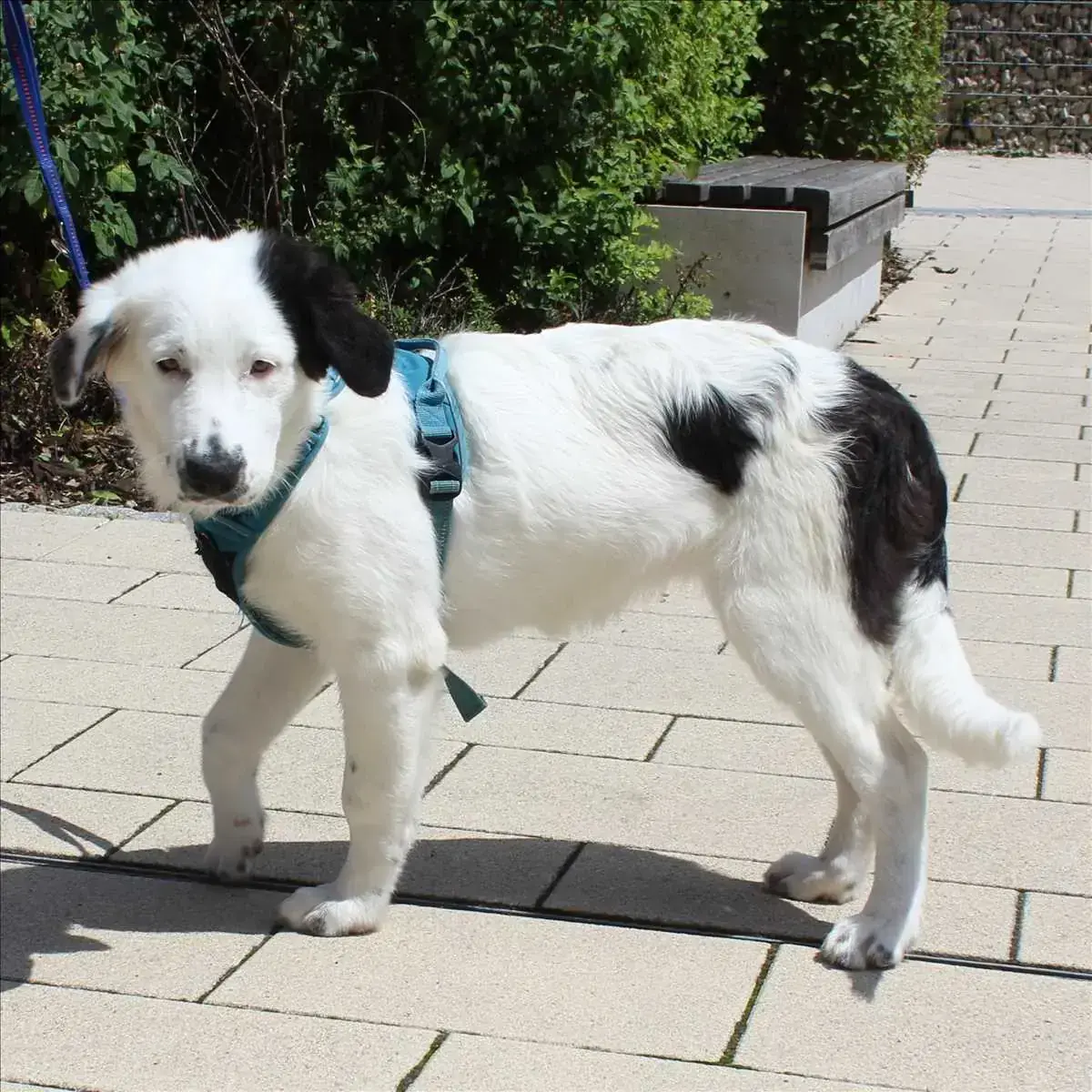 Zoe -  - Bild 2