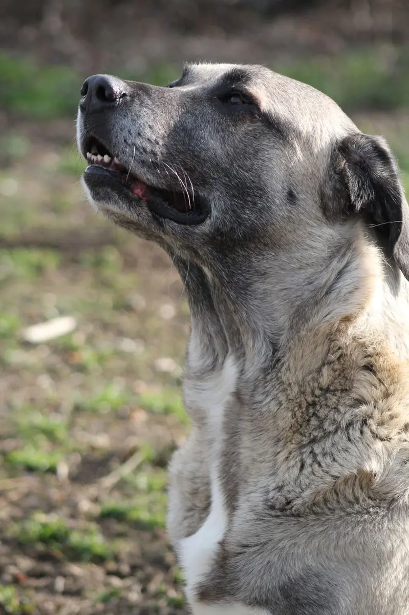 Tami -  - Bild 9