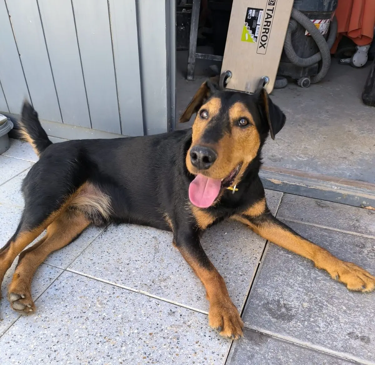 Rudi -  - Bild 10