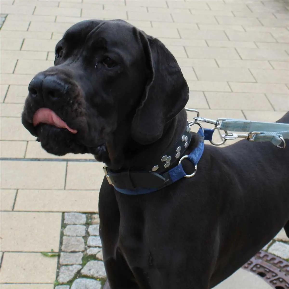 PHANTOM -  - Bild 1