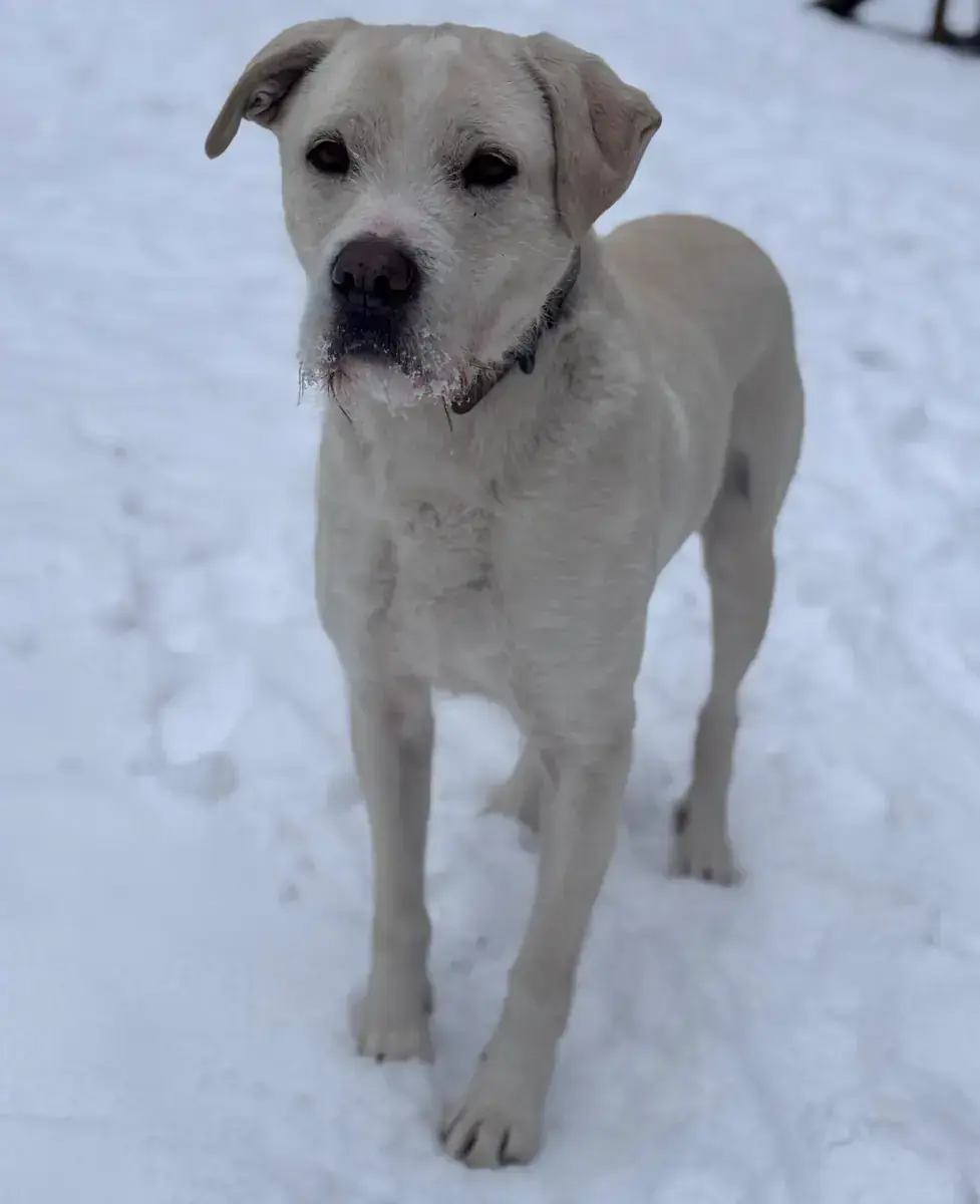Finley -  - Bild 4