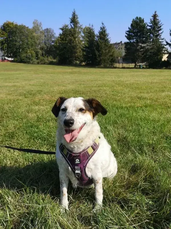Betty -  - Bild 2