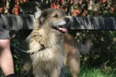 Mix Brutusz