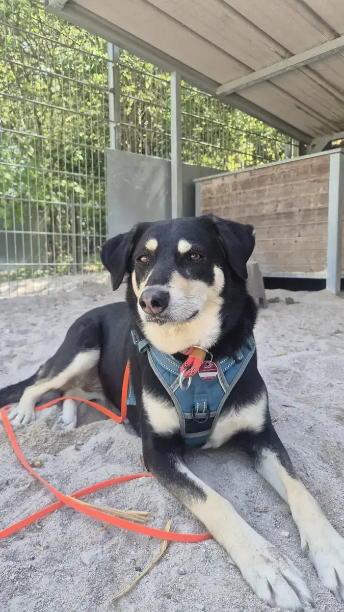 Luna -  - Bild 4