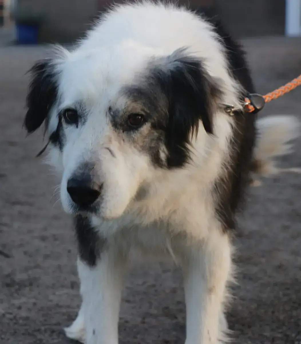 Rita -  - Bild 3