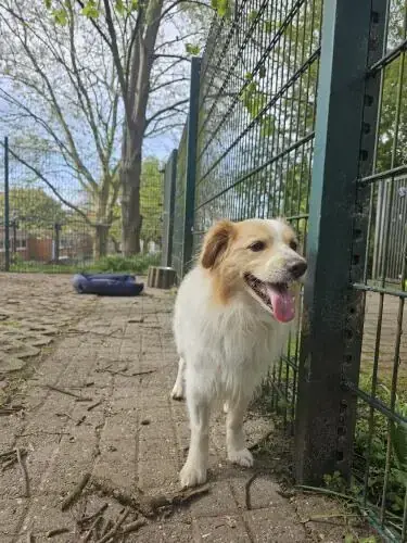Monty -  - Bild 2