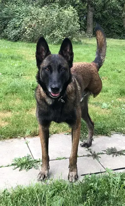 Niki -  - Bild 2