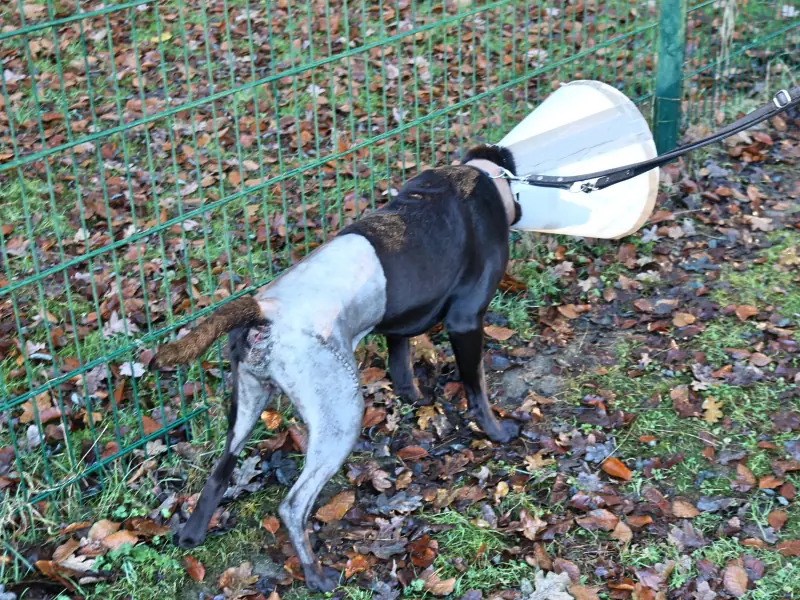 Monte -  - Bild 3