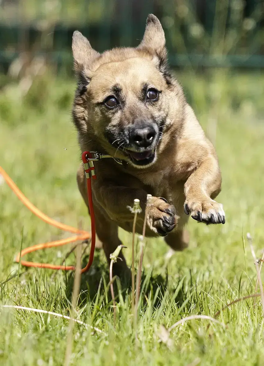 Maximilian -  - Bild 5