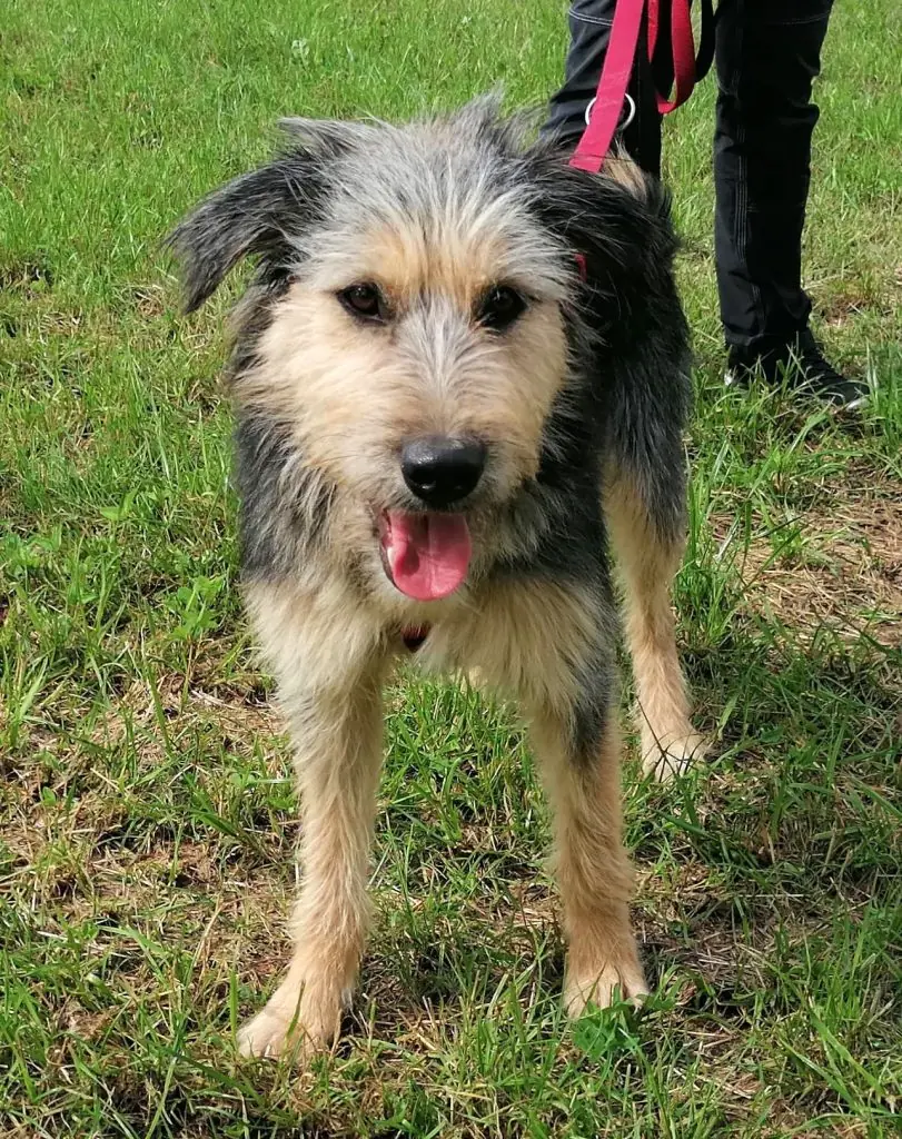 Romy -  - Bild 4
