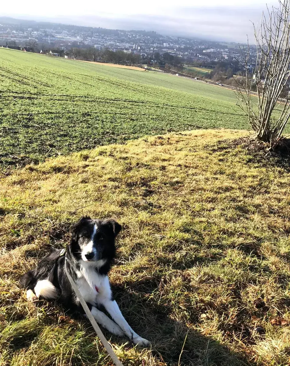Lenny -  - Bild 1