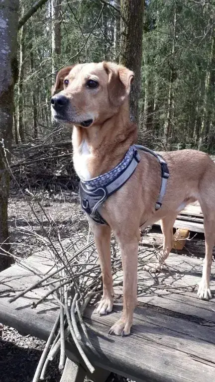 Mix Lucky