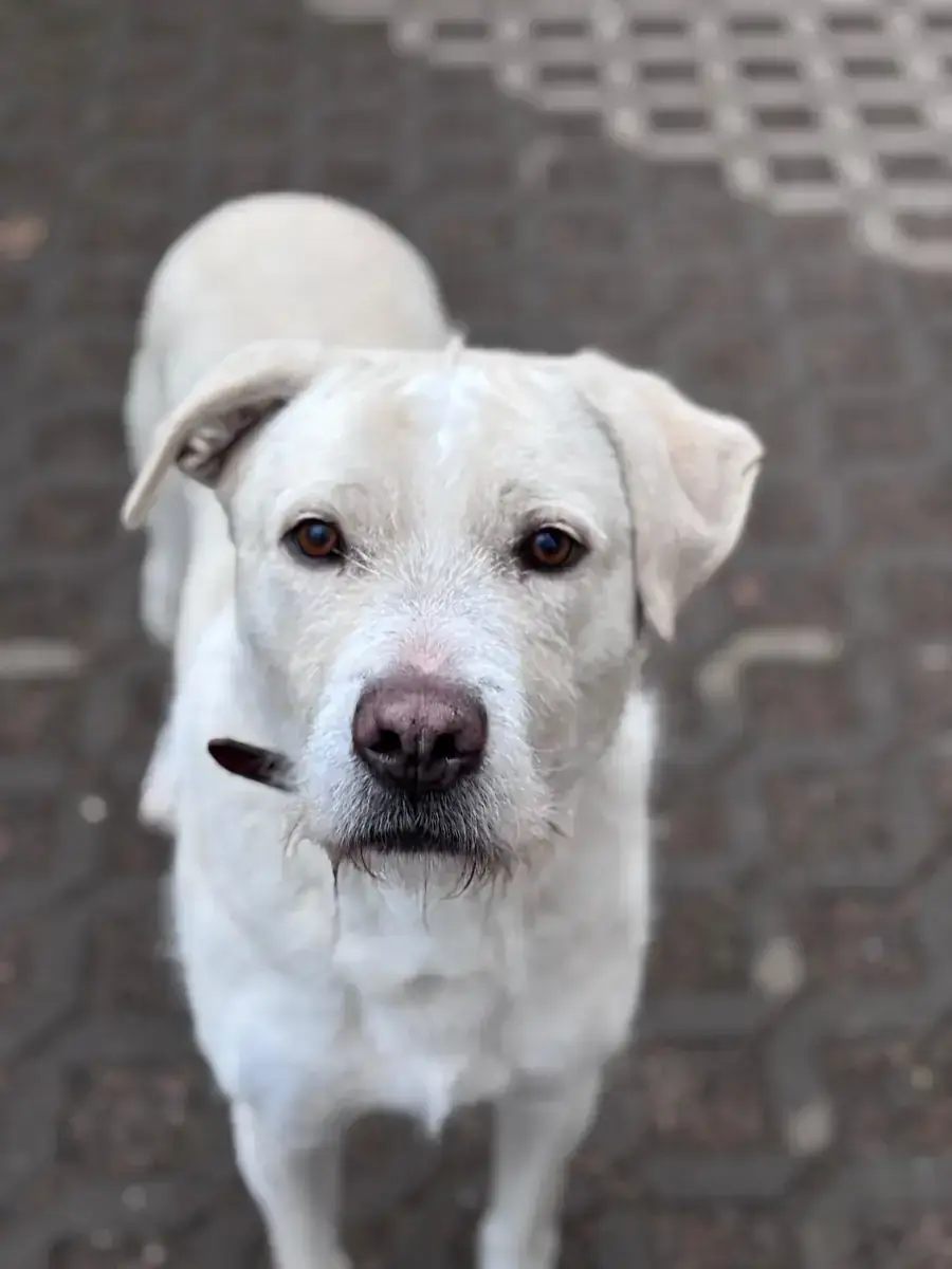 Finley -  - Bild 5