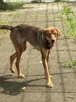 Tilda -  - Bild 6