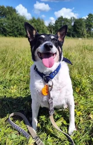 Milly -  - Bild 10