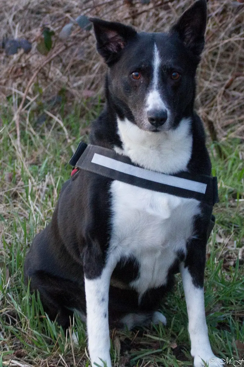 Maja -  - Bild 1