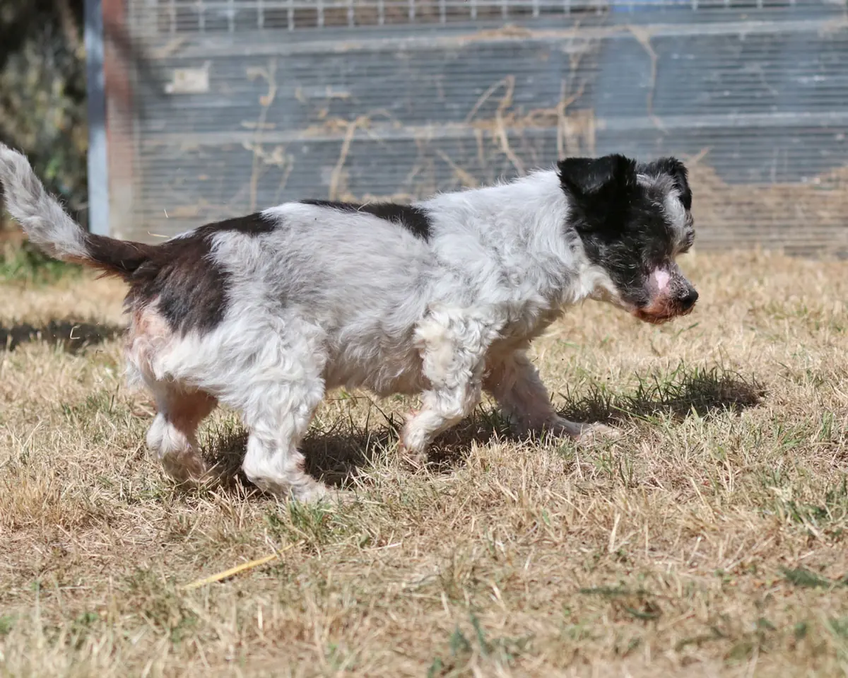 Andi -  - Bild 8