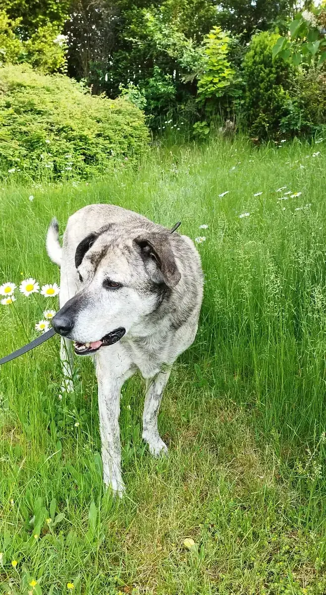 Lucky -  - Bild 6
