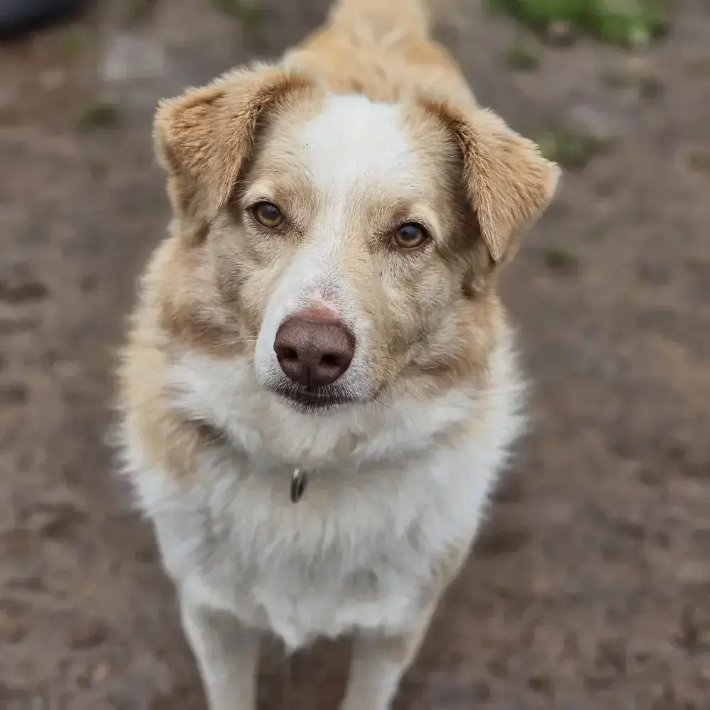 Maverick -  - Bild 1