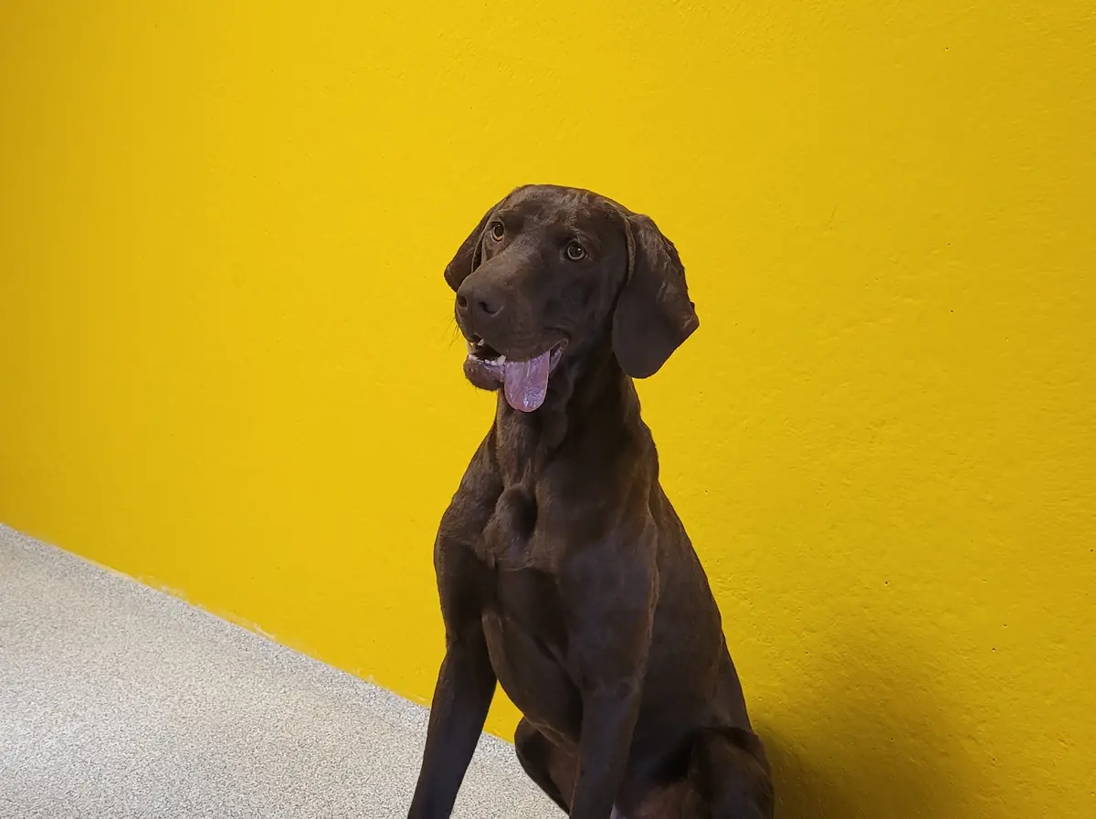 Watson -  - Bild 6