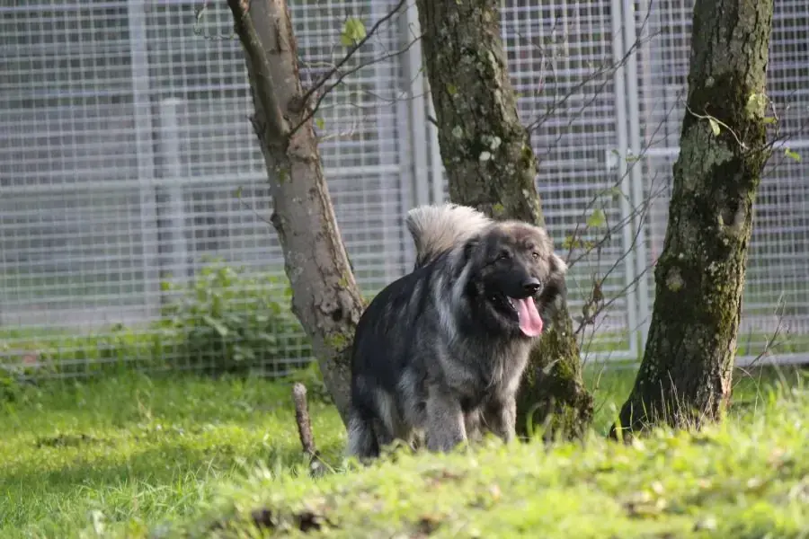 Rocky -  - Bild 13