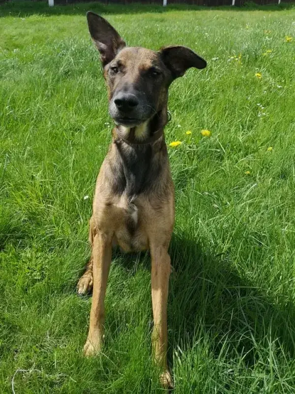 Aki -  - Bild 40
