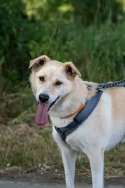 Jaffa -  - Bild 1