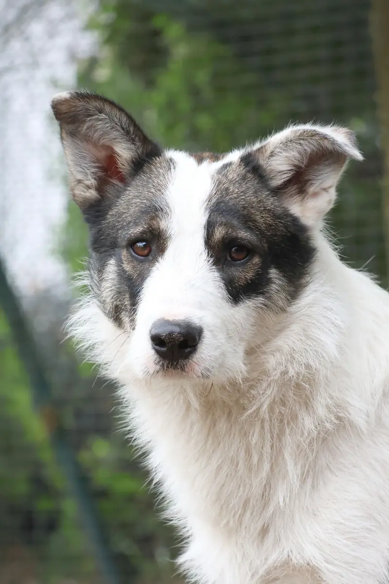 Ruby -  - Bild 1