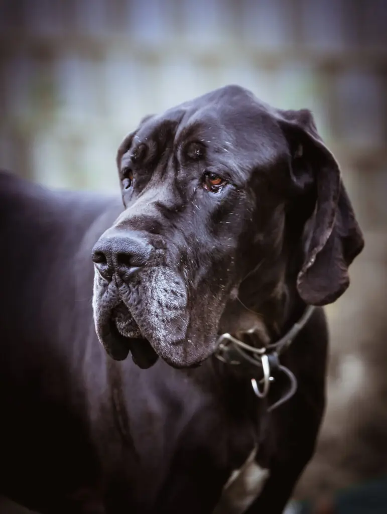 Lothar -  - Bild 2