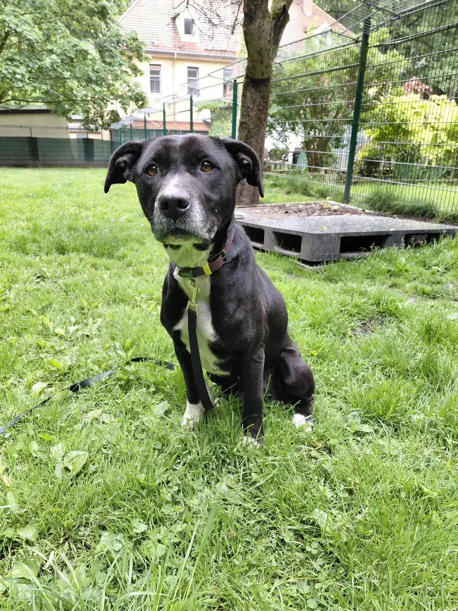 Jackie -  - Bild 3