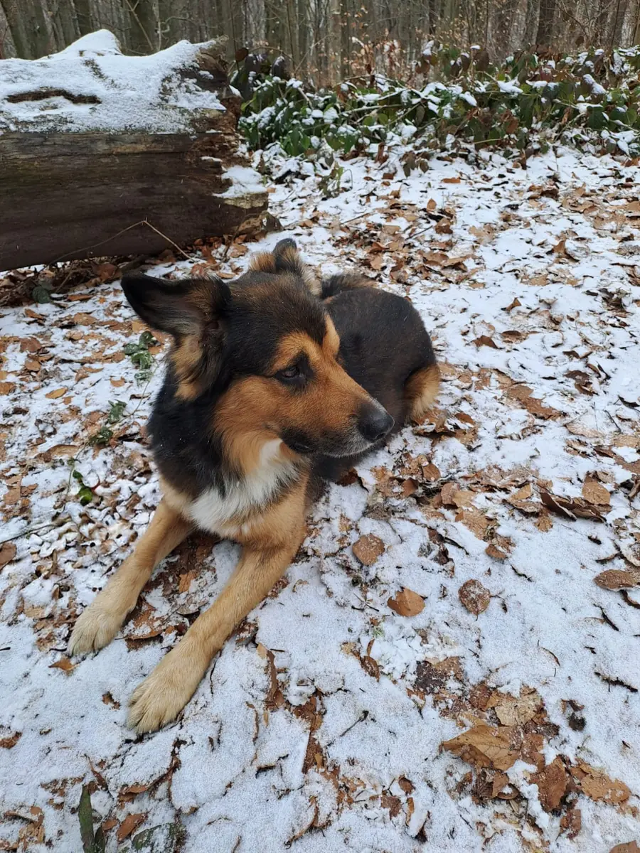 Rocky -  - Bild 4