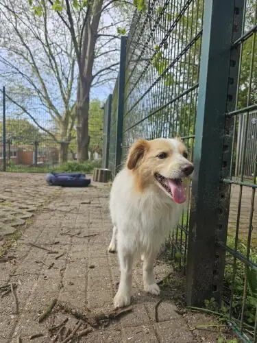 Monty -  - Bild 2