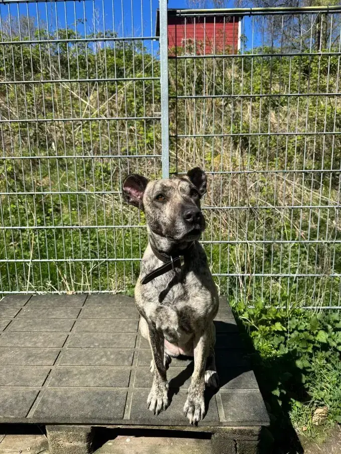 Ebby -  - Bild 2