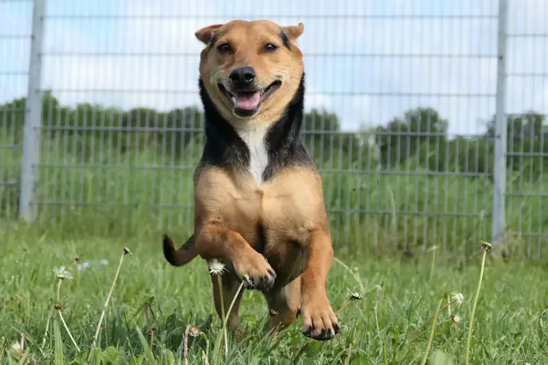 Lara -  - Bild 1