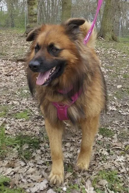 Spike -  - Bild 4