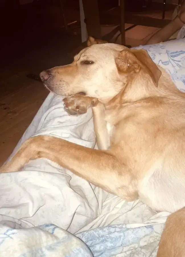 Bruno -  - Bild 5