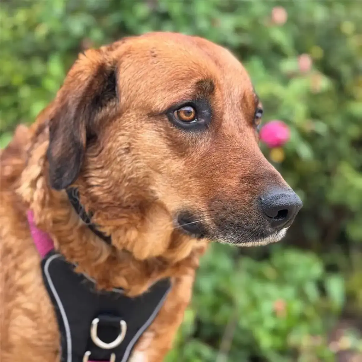 Lola -  - Bild 2