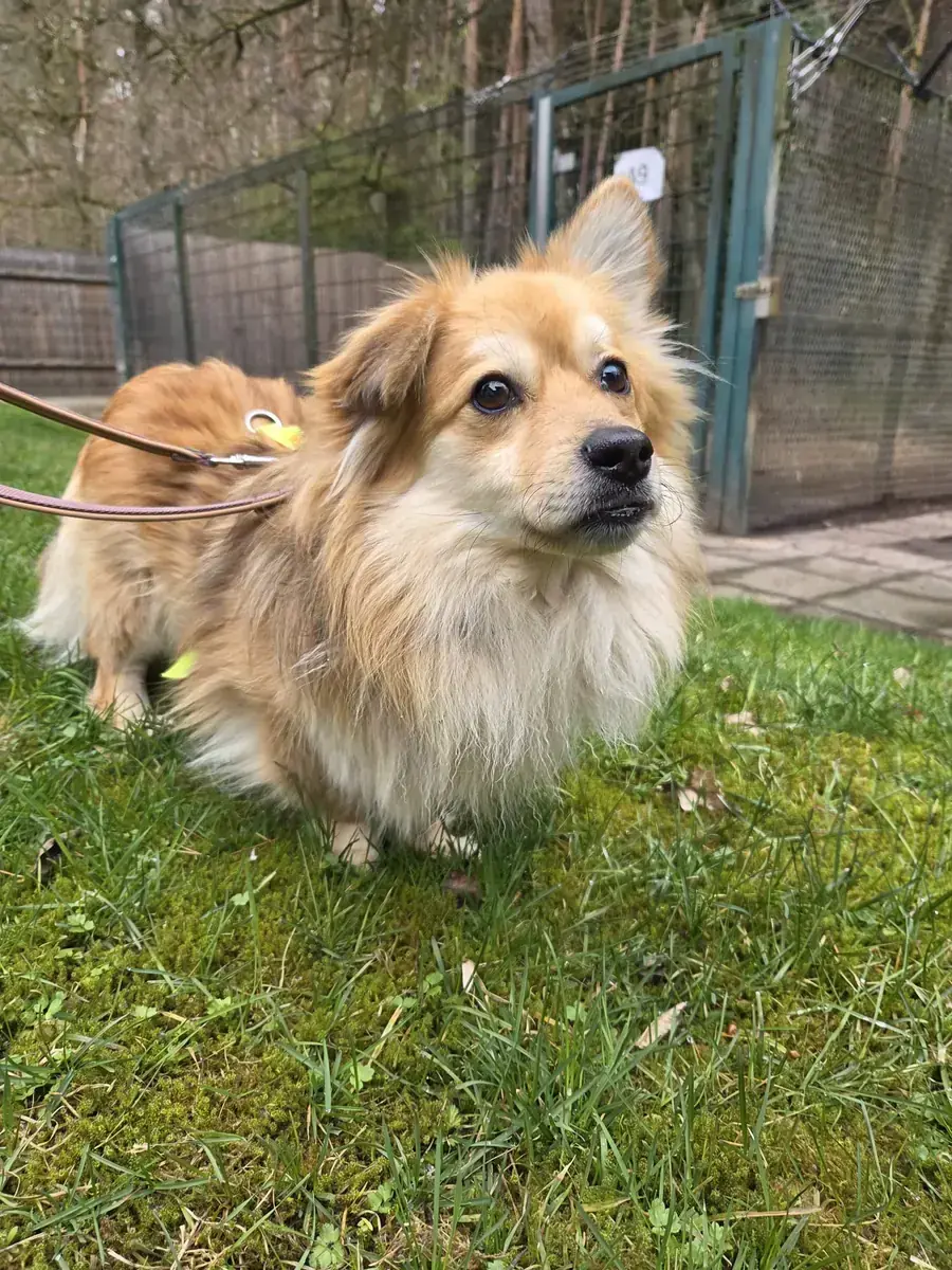 Bilbo -  - Bild 3