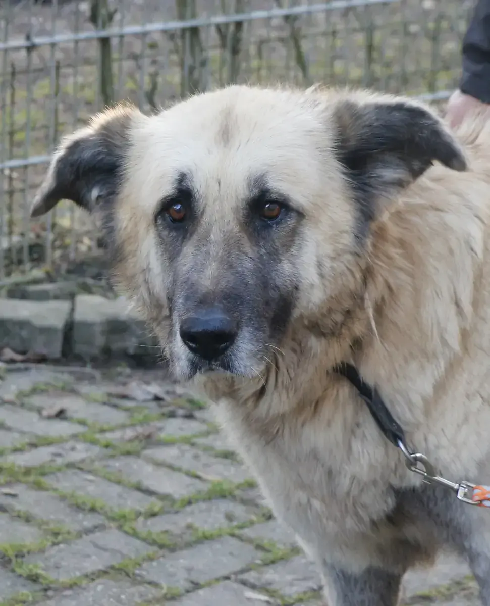 Lola -  - Bild 4