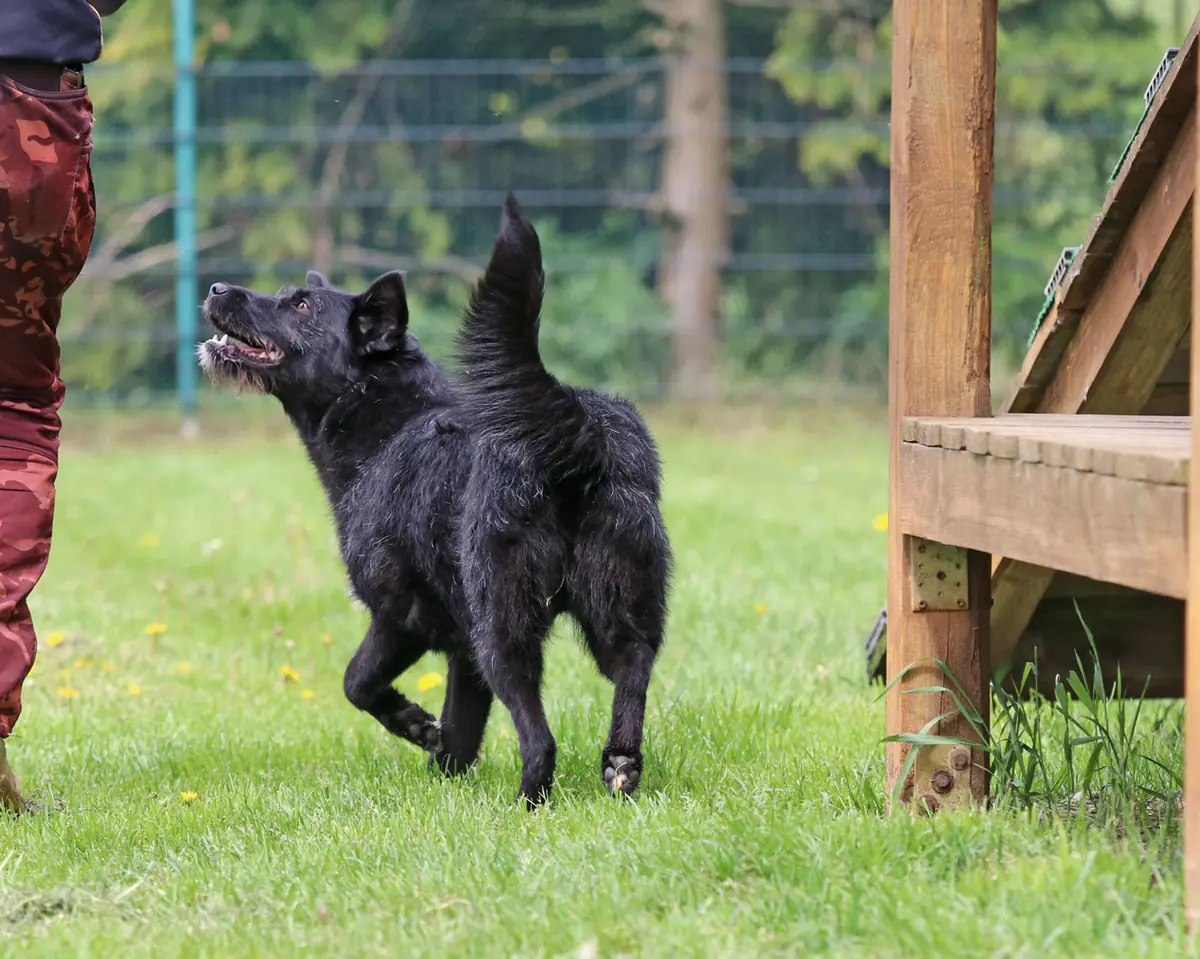 Gerda -  - Bild 8