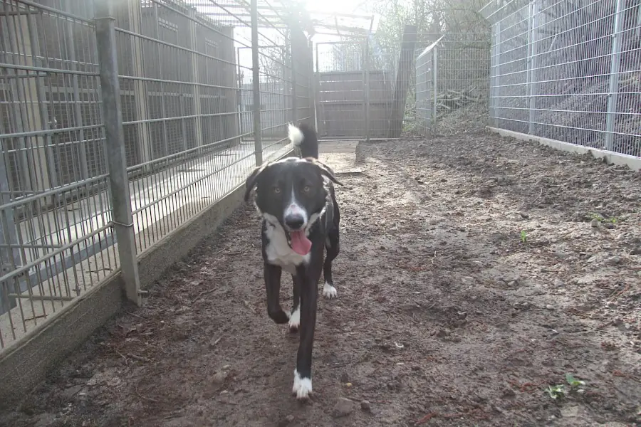 Marley -  - Bild 9