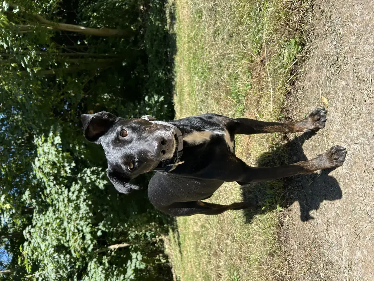 Luna -  - Bild 2