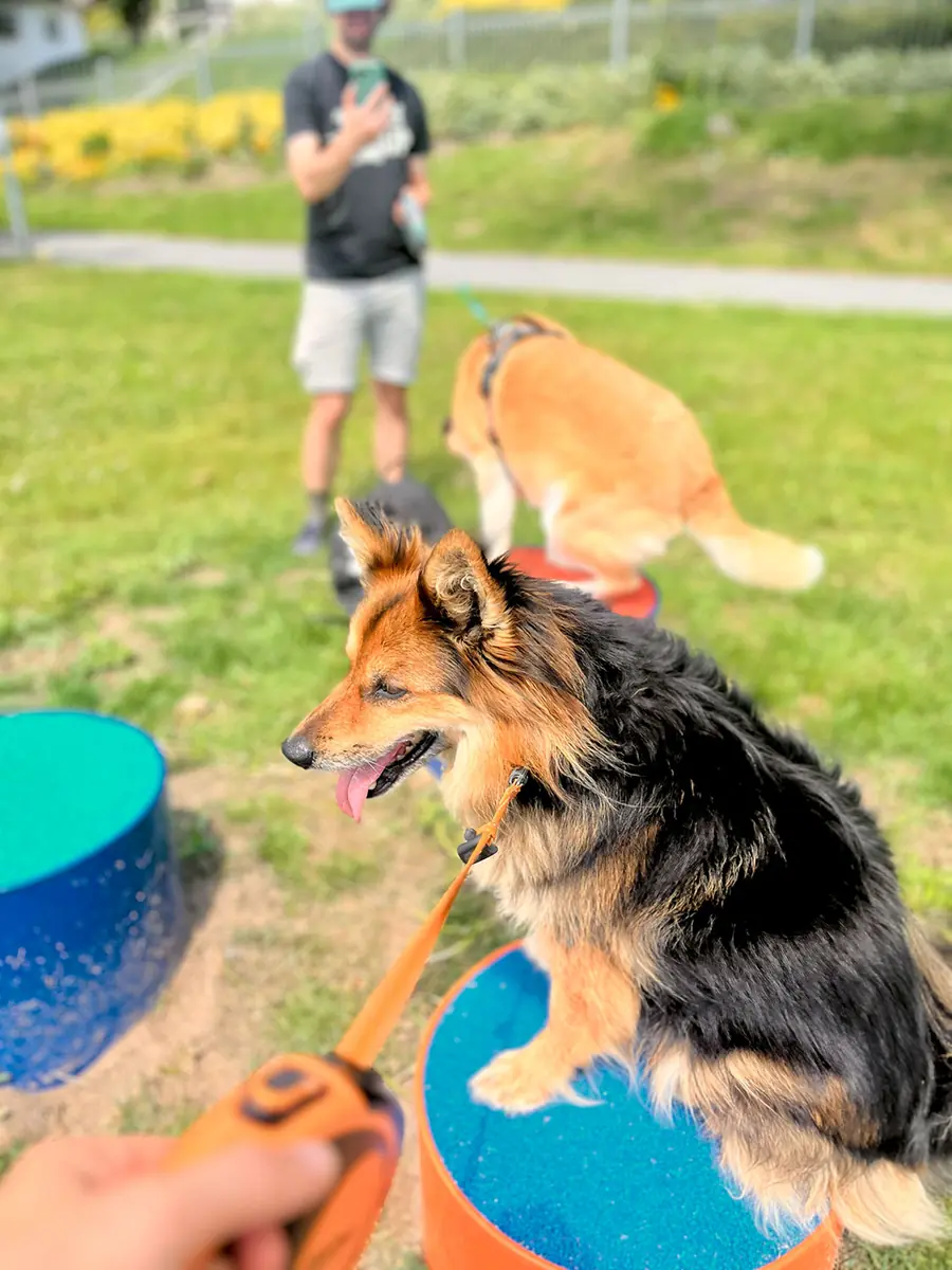 Loui -  - Bild 29