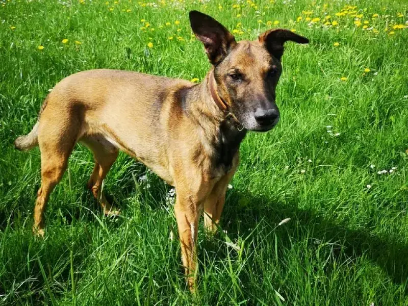Aki -  - Bild 30